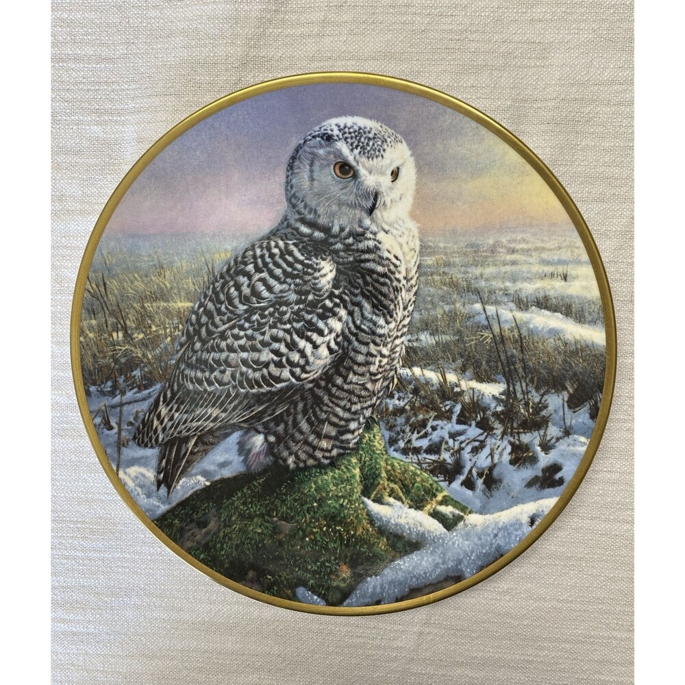 Spode Collection Plate Noble Owls Of America/Morning Mist 9 1/2" , Seerey Lester